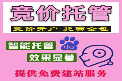 竞价广告的投放技巧与网络推广的实践